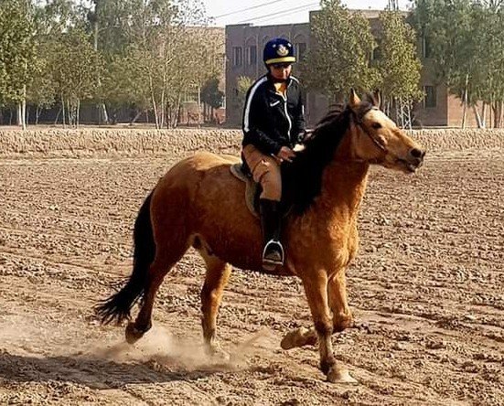 Horse Riding