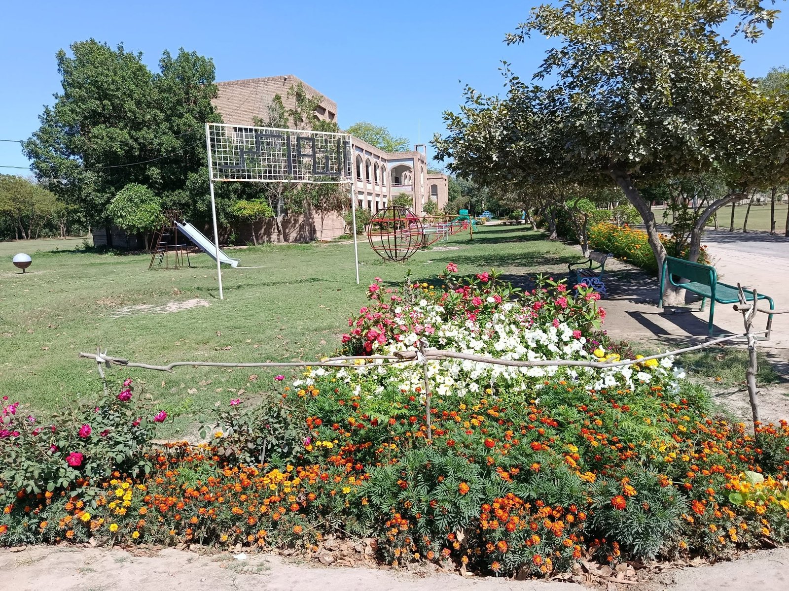 School Ground